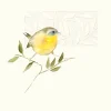 Greeting Cards|A Ray of Sunshine Greeting Card