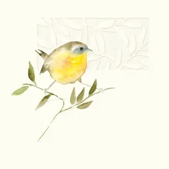 Greeting Cards|A Ray of Sunshine Greeting Card