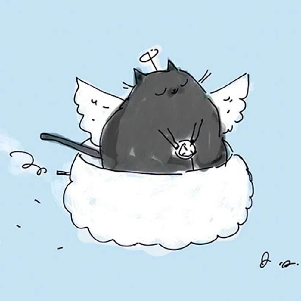 Greeting Cards|Angel Cat Pet Sympathy Card