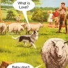 Greeting Cards|Baby Don't Herd Me Greeting Card