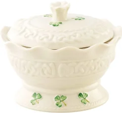 Belleek Home Accents|Belleek Pottery|Tara Gift Box