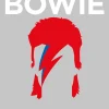 Books|Cultural Icons|Biographic Bowie