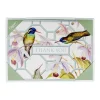 Caspari Boxed Cards|Hummingbird Trellis Thank You Boxed Cards