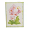 Caspari Boxed Cards|Orchid Conservatory Thank You Boxed Cards