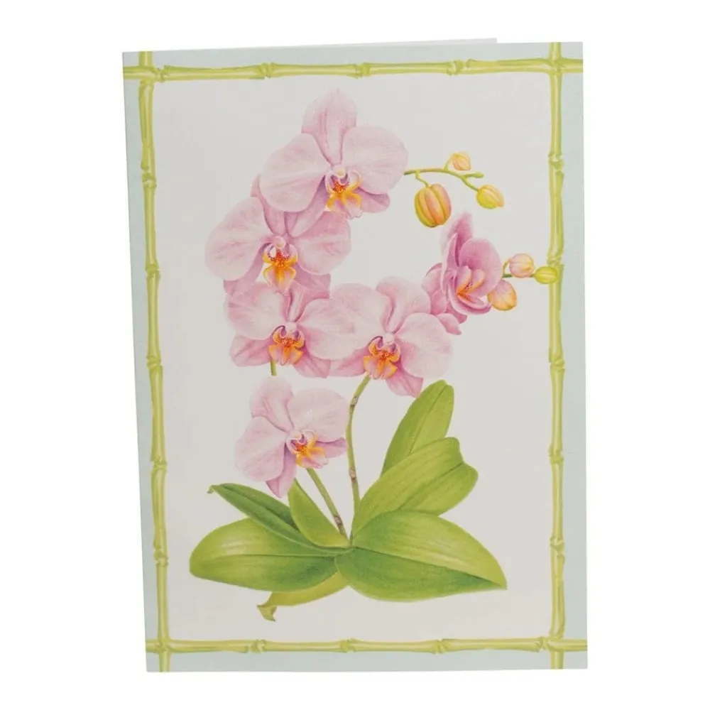 Caspari Boxed Cards|Orchid Conservatory Thank You Boxed Cards