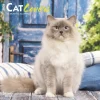 Calendars|Cat Lovers 2026 Mini Wall Calendar