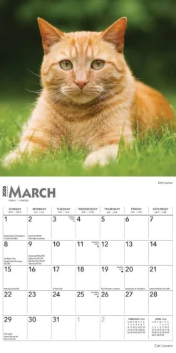 Calendars|Cat Lovers 2026 Mini Wall Calendar
