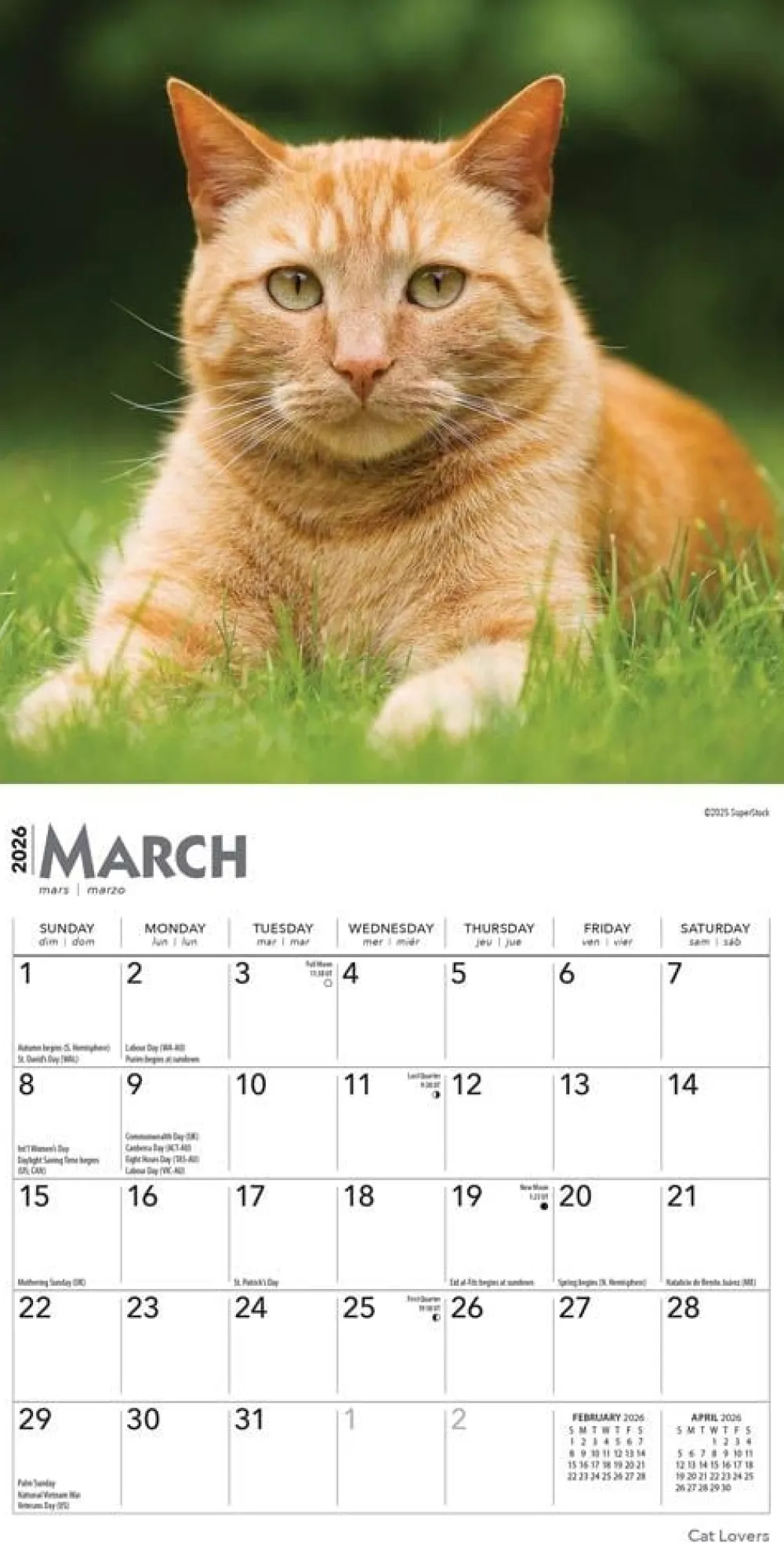 Calendars|Cat Lovers 2026 Mini Wall Calendar