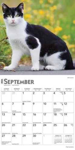 Calendars|Cat Lovers 2026 Mini Wall Calendar