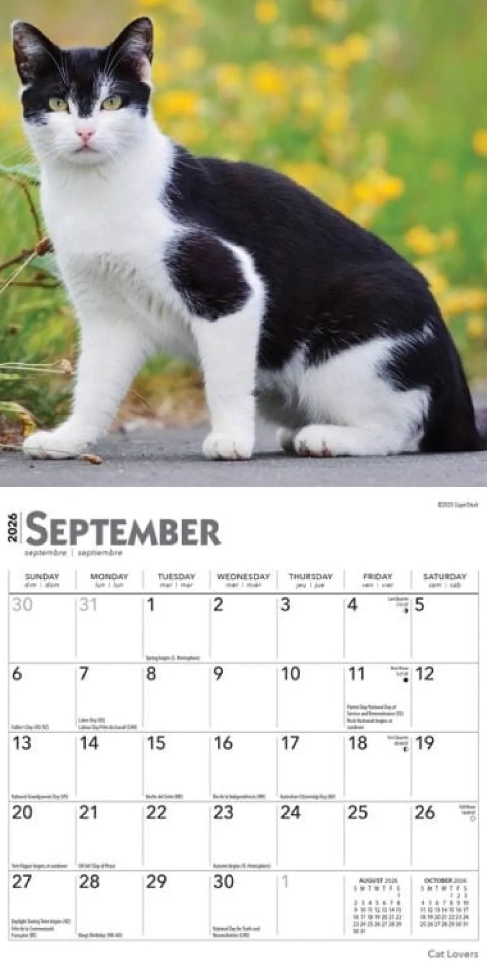 Calendars|Cat Lovers 2026 Mini Wall Calendar