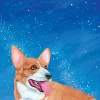Greeting Cards|Corgi Sky Birthday Card