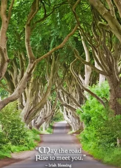 Greeting Cards|Dark Hedges Greeting Card