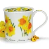 Dunoon Shape: Bute|Bute Spring Flowers Daffodil Mug