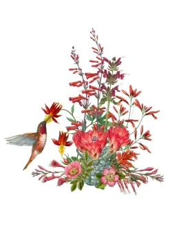 Boxed Cards|Erin E. Hunter: Pollinators Boxed Notecards