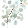 Greeting Cards|Eucalyptus Sympathy Card