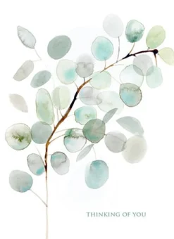 Greeting Cards|Eucalyptus Sympathy Card