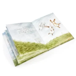 Toys|Every Hare Counts Book