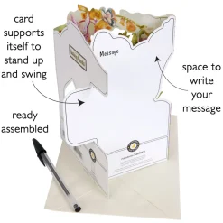 Greeting Cards|Fairies Swing Card