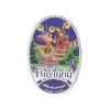 Sweets|Flavigny Blackcurrant Tin