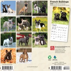 Calendars|French Bulldogs 2026 Mini Wall Calendar