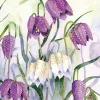 Greeting Cards|Fritillary Lawn Sympathy Card