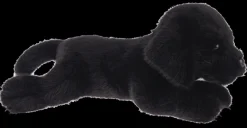 GANZ Soft Toys|Toys|Biscuit Dog Black