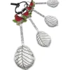GANZ Kitchen Tools|Cardinal Measuring Spoons Set