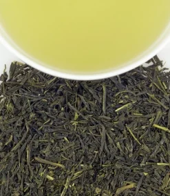 Harney & Sons Harney & Sons|Japanese Sencha Green Loose Leaf Tin