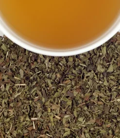 Harney & Sons Harney & Sons|Peppermint Herbal 50s