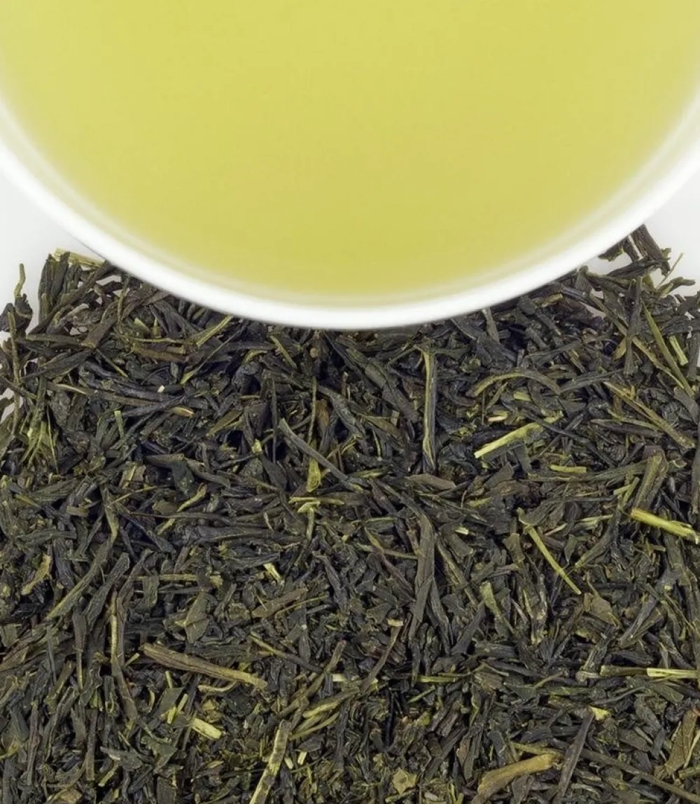 Harney & Sons Harney & Sons|Japanese Sencha Green 20s