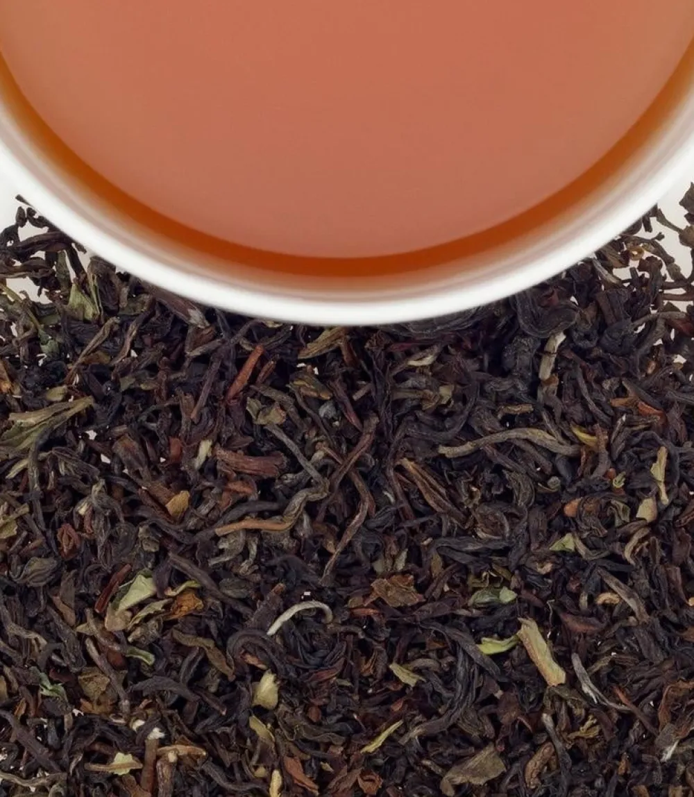 Harney & Sons Harney & Sons|Darjeeling 20s