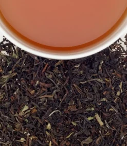Harney & Sons Harney & Sons|Darjeeling 20s