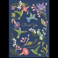 Boxed Cards|Hummingbirds Boxed Thank You Cards