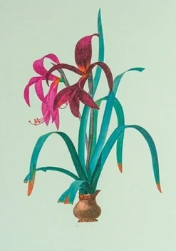 Greeting Cards|Iris Greeting Card