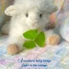 Greeting Cards|Irish Baby Shower Card