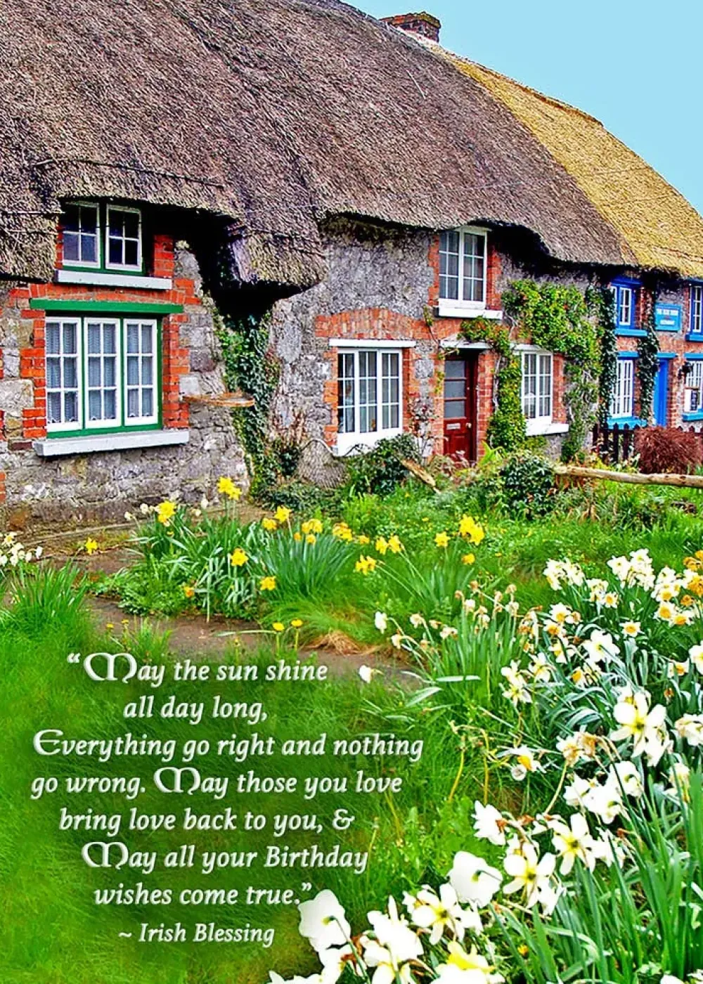 Greeting Cards|Irish Birthday Wishes Card