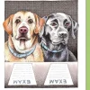 Greeting Cards|Lab Tests Greeting Card