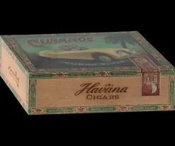 Maileg Maileg|Soft Toys|Grandma & Grandpa Mice in Cigarbox