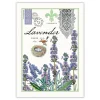 Michel Design Works Tea Towels|Lavender Rosemary Kitchen Towel