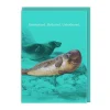 Greeting Cards|Moisturised Seal Card