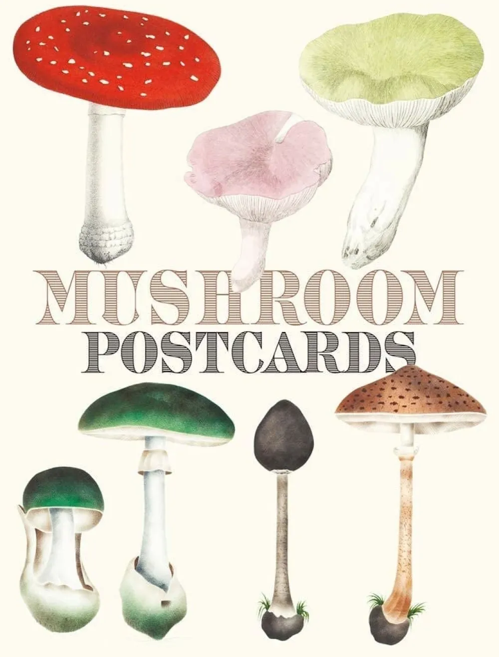 Books|Mushroom Postcards