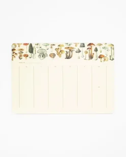 Journals & Other Stationery|Mushrooms Calendar Notepad