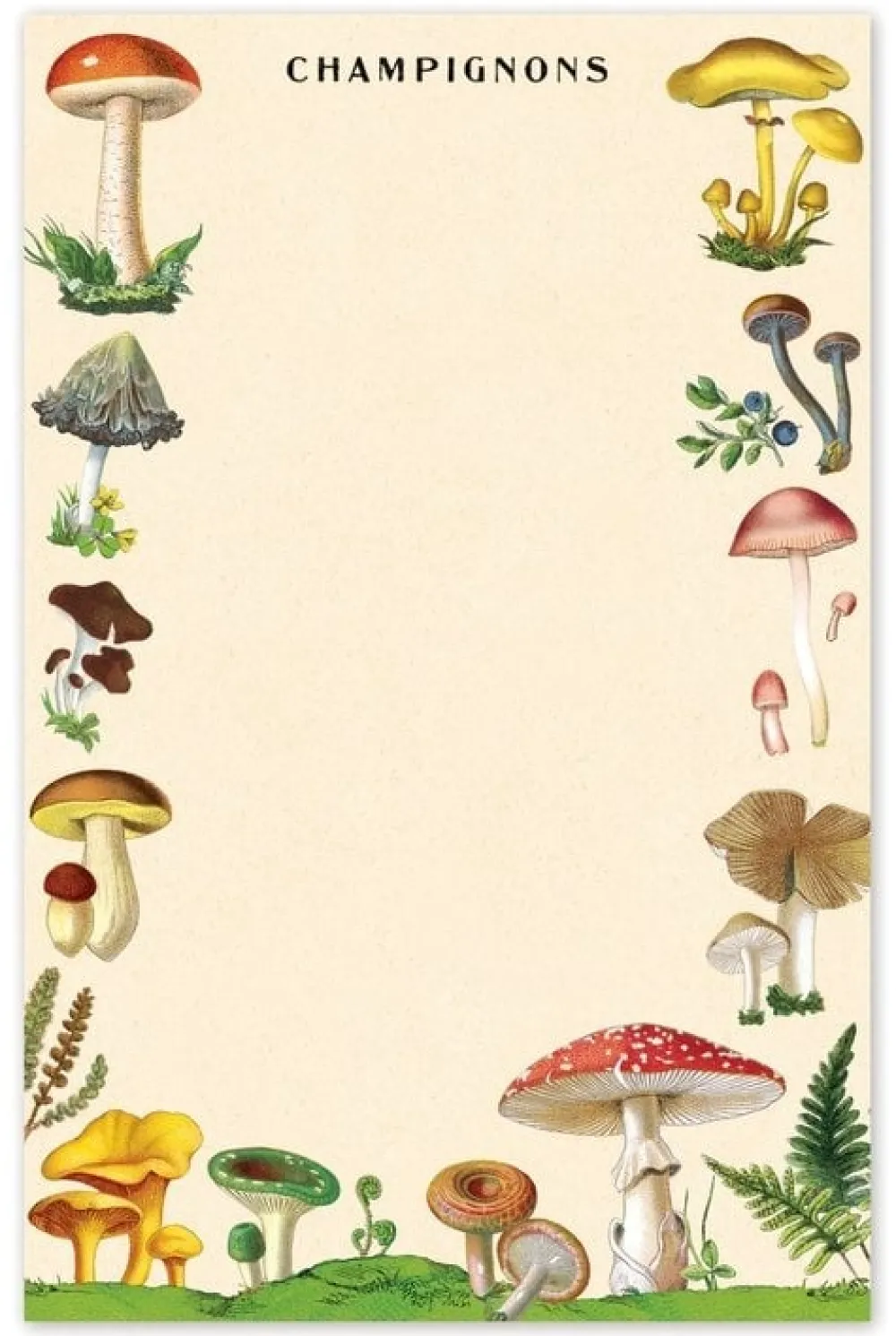 Journals & Other Stationery|Mushrooms Notepad
