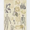 Journals & Other Stationery|Nursing Softcover Notebook (Lined)