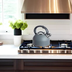 Tea Kettles|Oggi Stainless Steel Whistling Tea Kettle (Charcoal Grey)