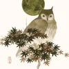 Greeting Cards|Owl and Golden Moon Birthday Card