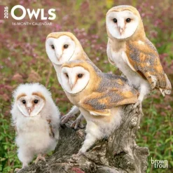 Calendars|Owls 2026 Mini Wall Calendar