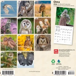Calendars|Owls 2026 Mini Wall Calendar