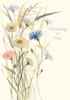 Greeting Cards|Oxeye Daisies Thinking of You Card