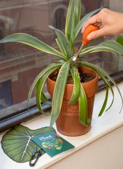 Coloring Books & Crafts|Kitchen Tools|Plant Care Kit